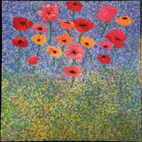 Colored Poppies